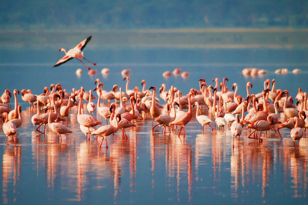 laki-manyara-04
