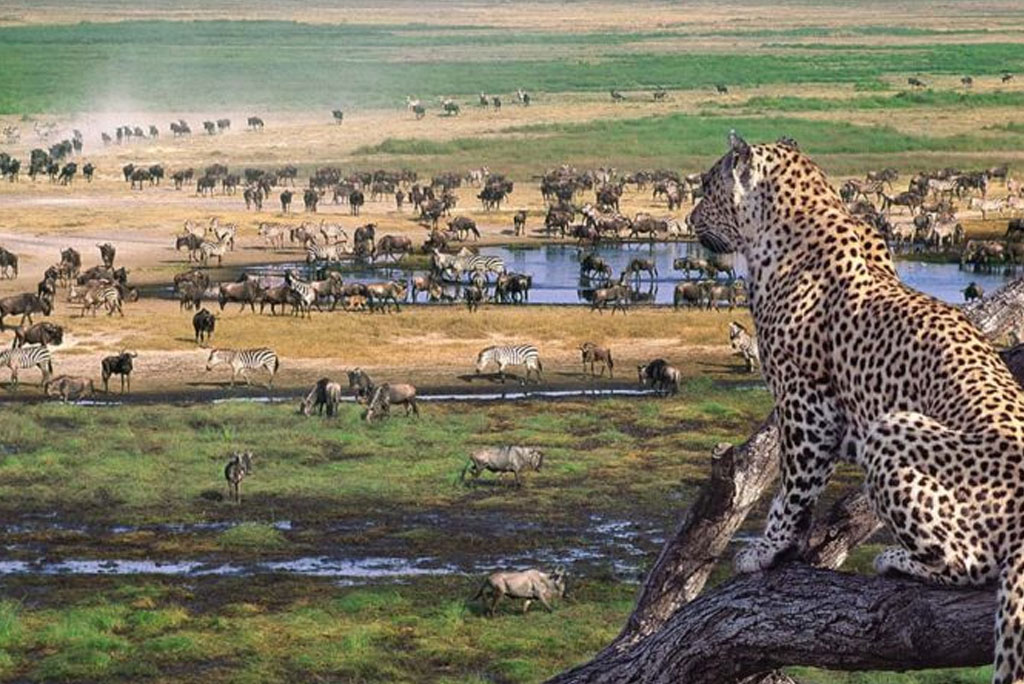 ngorongoro02