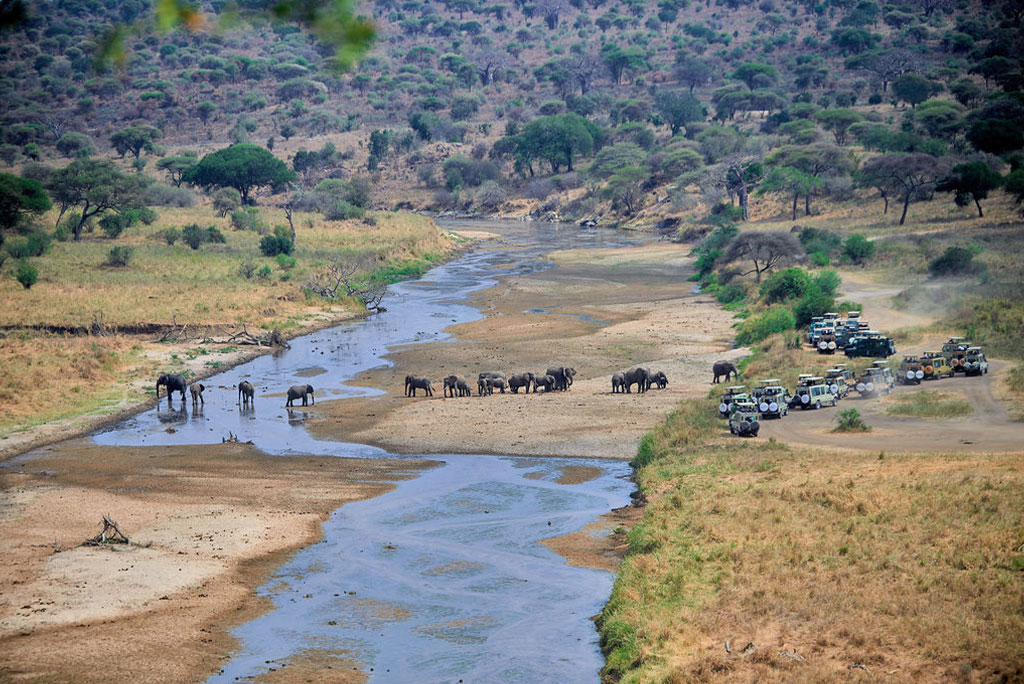 tarangire02